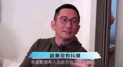 吴启华爆料中国娱乐圈,揭秘明星背后的真相 第2张 吴启华爆料中国娱乐圈,揭秘明星背后的真相 第2张