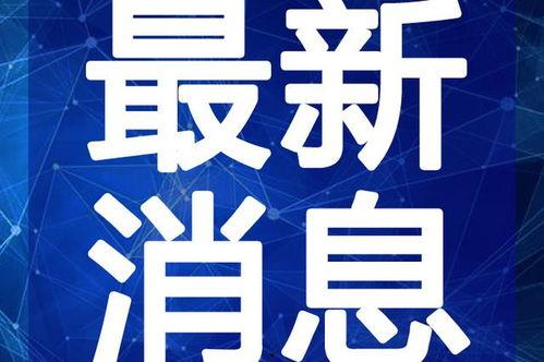 惠州食物爆料事件视频最新,揭露食品安全背后的惊人真相