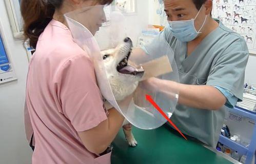 网友爆料医生打针视频,医生操作失误,针头打错部位引发争议 第3张 网友爆料医生打针视频,医生操作失误,针头打错部位引发争议 第3张