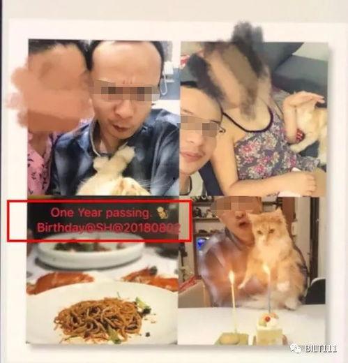 吃瓜前任室友是真的吗免费阅读  第3张