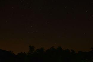 在线观看夜晚,探索光影世界的夜晚之旅