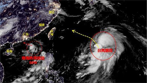 热点爆料台风烟花视频,现场惊心动魄视频直击