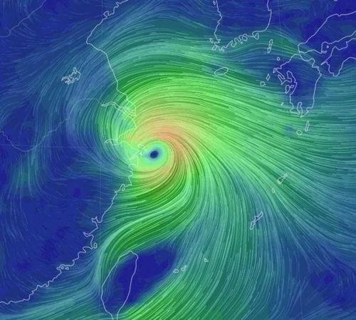 热点爆料台风烟花视频,现场惊心动魄视频直击 第2张 热点爆料台风烟花视频,现场惊心动魄视频直击 第2张