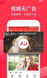 民间吃瓜爆料视频下载,民间吃瓜爆料视频背后的下载热潮 第3张 民间吃瓜爆料视频下载,民间吃瓜爆料视频背后的下载热潮 第3张