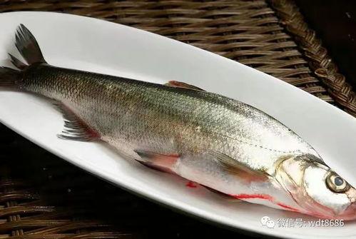 鱼闪闪的最新爆料,揭秘娱乐圈最新热点事件
