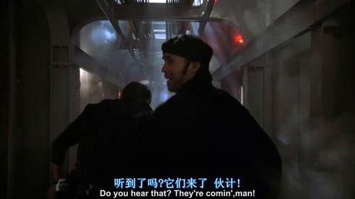 极度深寒1在线观看,冰封世界，生死较量