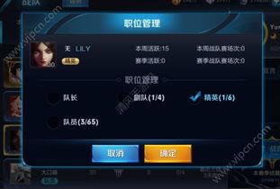 王者兔年语音爆料视频,新春狂欢，趣味语音大揭秘！