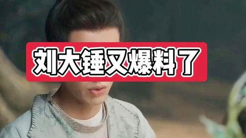 刘大锤爆料谐星视频大全,谐星搞笑视频大合集