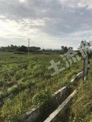 广西土地爆料最新消息,最新爆料揭示土地交易新趋势 第3张 广西土地爆料最新消息,最新爆料揭示土地交易新趋势 第3张
