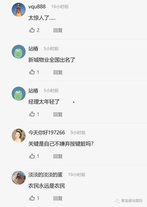 胶州最新爆料新闻视频大全,视频大全揭示热点事件全貌 第3张 胶州最新爆料新闻视频大全,视频大全揭示热点事件全貌 第3张