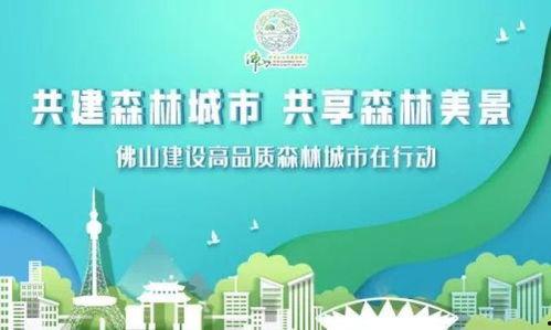 佛山新闻媒体爆料,重大事件引发社会关注 第3张 佛山新闻媒体爆料,重大事件引发社会关注 第3张