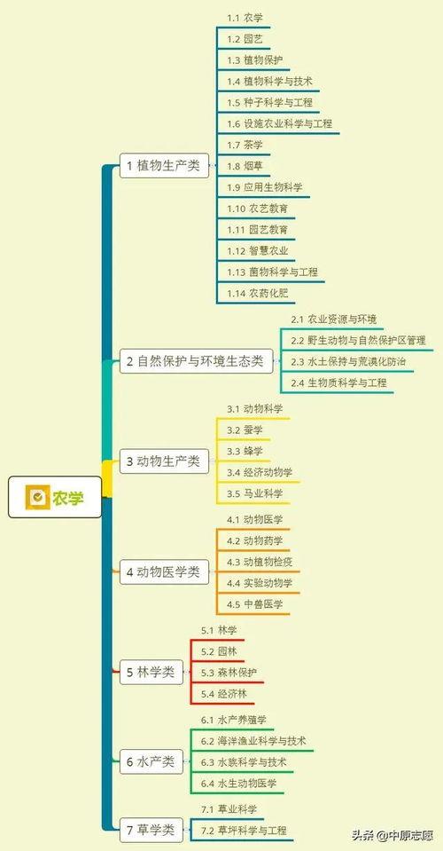 文玩大师爆料视频大全集,视频大全集深度解析