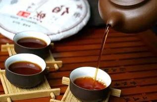 云南普洱茶爆料视频最新,最新爆料视频带你领略茶香传奇