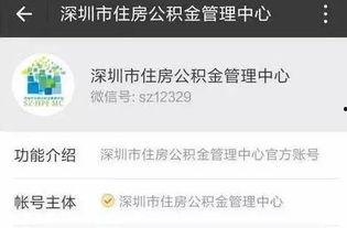深圳靓仔最新爆料,揭秘娱乐圈幕后真相 第3张 深圳靓仔最新爆料,揭秘娱乐圈幕后真相 第3张