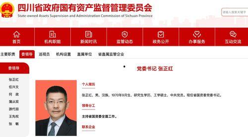 川观新闻爆料,揭秘事件背后惊人真相  第3张