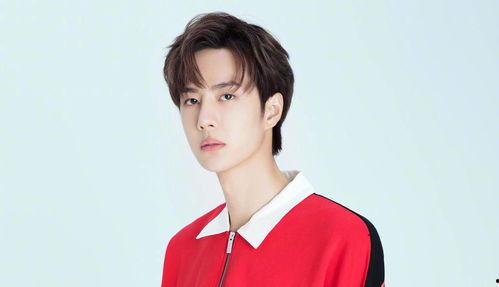 娱乐大爆料包文静,揭秘明星幕后故事