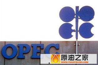opec最新爆料,揭秘石油市场新动态与未来走向  第2张