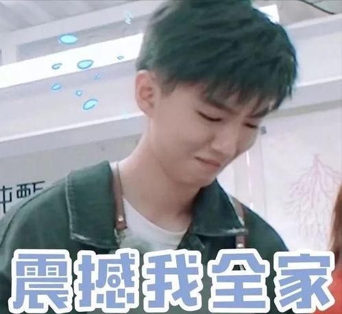 娱乐圈爆料 王俊凯视频,娱乐圈再掀波澜