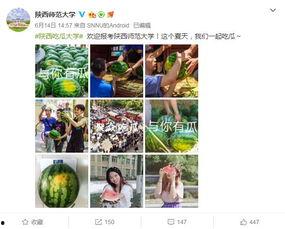 高校吃瓜免费资源,免费资源大揭秘，学子福利一网打尽