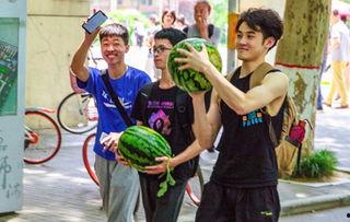 高校吃瓜免费资源,免费资源大揭秘，学子福利一网打尽  第2张