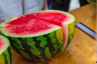 高校吃瓜免费资源,免费资源大揭秘，学子福利一网打尽  第3张