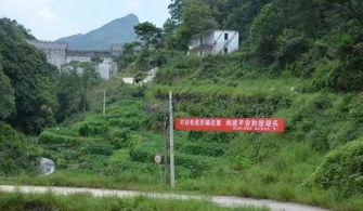 安溪县最新爆料,揭秘茶乡新动态与未来发展规划  第2张