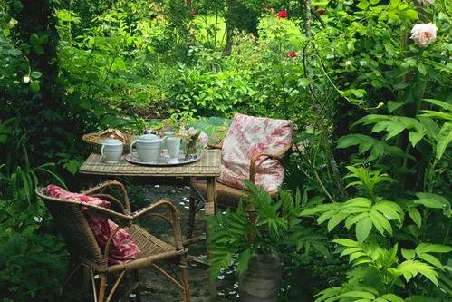 阳光小院爆料视频,真实生活背后的故事 第3张 阳光小院爆料视频,真实生活背后的故事 第3张