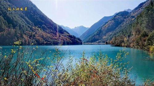 风景视频可不可以爆料,风景视频中的绝美瞬间