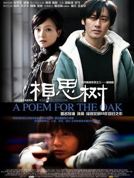 电视剧相思树在线观看,穿越时空的浪漫邂逅