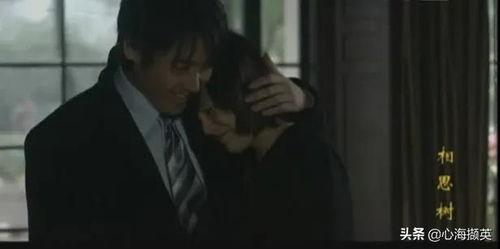 电视剧相思树在线观看,穿越时空的浪漫邂逅 第2张 电视剧相思树在线观看,穿越时空的浪漫邂逅 第2张