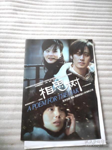 电视剧相思树在线观看,穿越时空的浪漫邂逅 第3张 电视剧相思树在线观看,穿越时空的浪漫邂逅 第3张