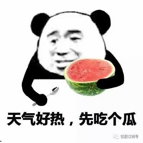 娱乐吃瓜酱管好自己吧,娱乐吃瓜酱的自律之路  第2张