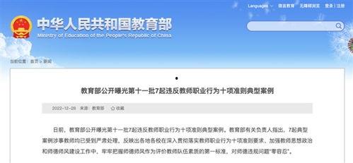 高校教师爆料案例大全视频,揭秘教育行业背后的真相  第1张