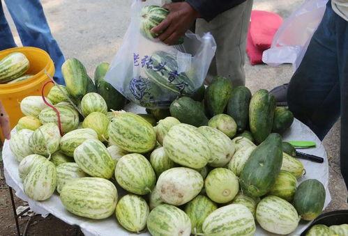 吃瓜网红前十名,盘点前十名热门话题制造者  第2张