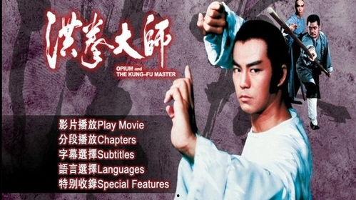 洪拳大师在线观看,传承武魂，在线领略中华武术精髓  第2张