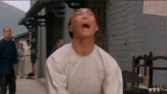 洪拳大师在线观看,传承武魂，在线领略中华武术精髓  第3张