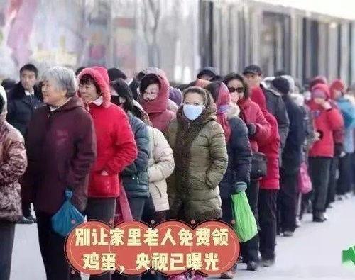 石家庄老人生活爆料视频,岁月静好，温馨日常