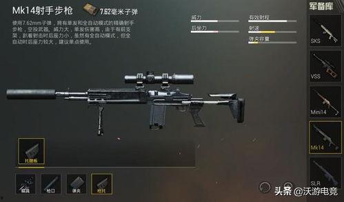 和平精英新枪爆料最新消息,神秘性能引发热议，玩家期待新战力加入