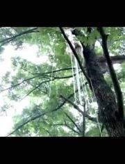 决战风铃渡在线观看,热血激战，巅峰对决  第2张