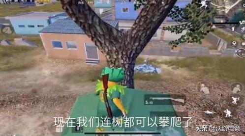 和平精英最新堵桥爆料,全新堵桥战术曝光，战场格局再掀风云  第2张