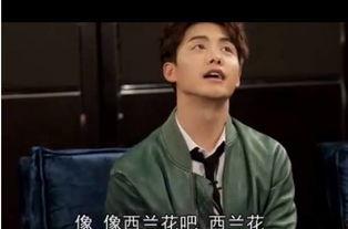 圈内人爆料马天宇,圈内人独家爆料揭秘