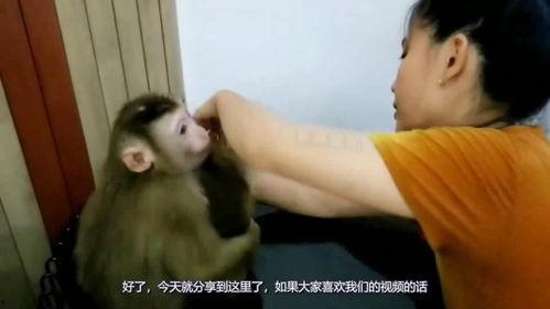 猴猴妈邻居爆料视频