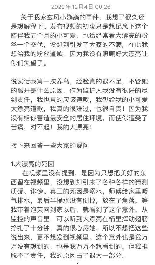 吃瓜小说第2集免费阅读  第3张