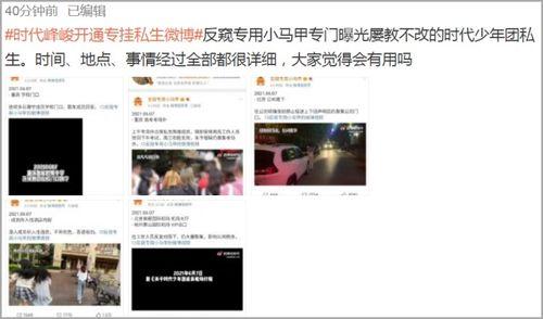 六千万粉丝爆料视频播放,揭秘爆款视频背后的秘密 第3张 六千万粉丝爆料视频播放,揭秘爆款视频背后的秘密 第3张