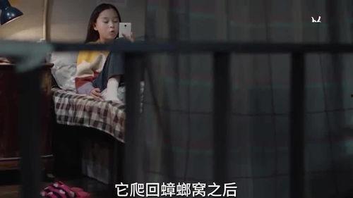 刘德华的姐姐爆料视频大全,刘德华幕后故事与家族往事 第2张 刘德华的姐姐爆料视频大全,刘德华幕后故事与家族往事 第2张