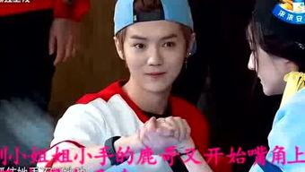 真探君八卦爆料视频大全,揭秘娱乐圈幕后真相