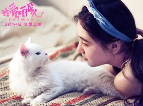 我爱喵星人爆料视频,揭秘猫咪世界的秘密生活